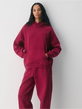 Aritzia Cozy Sweatfleece Mega Raglan Hoodie